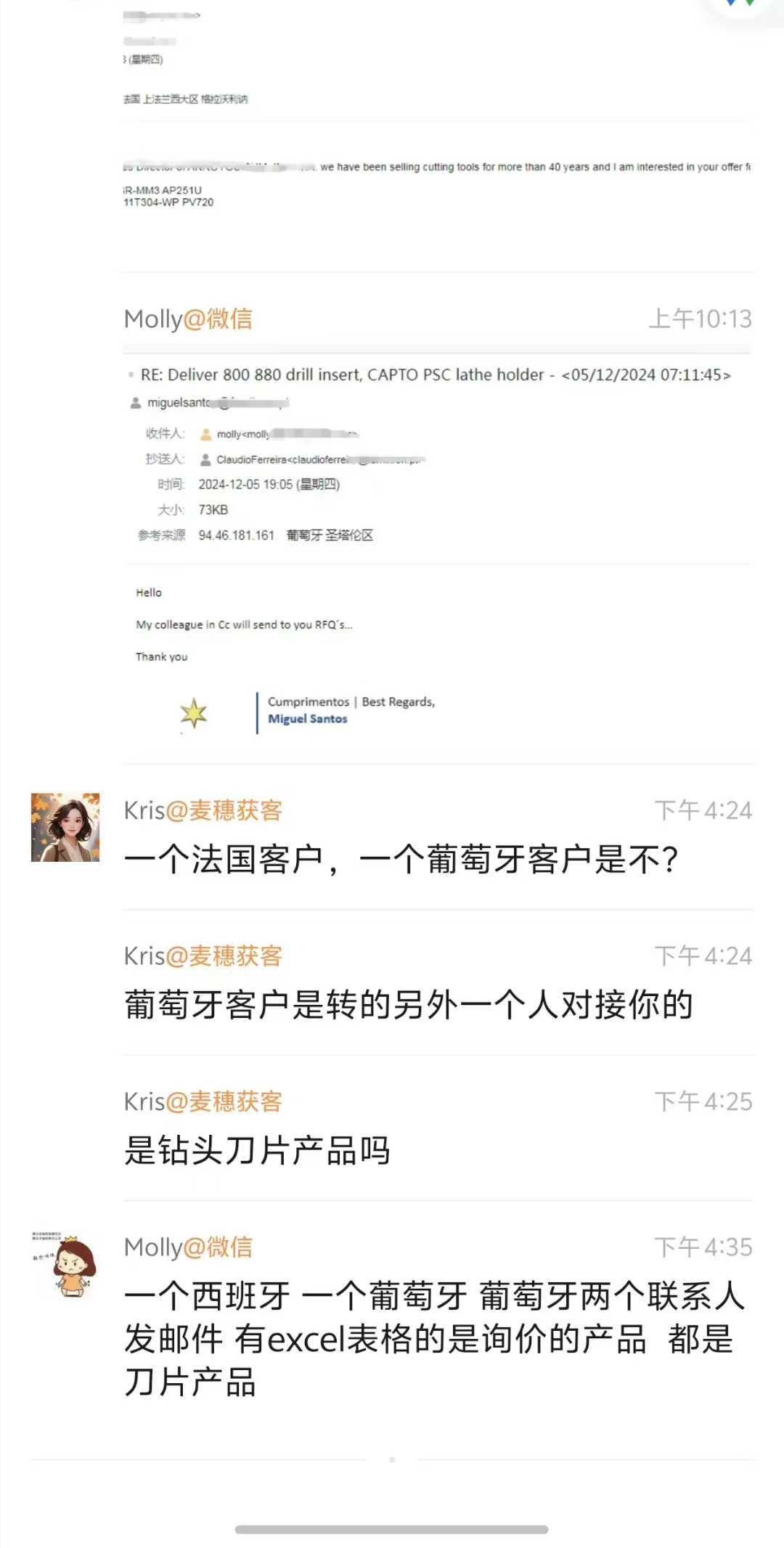 刀片外贸案例:西班牙葡萄牙买家带Excel清单询价的聊天记录截图