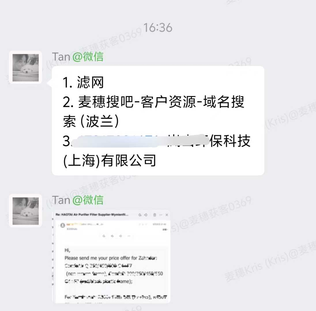 滤网外贸案例:域名搜索开发波兰客户收询价邮件的聊天记录截图